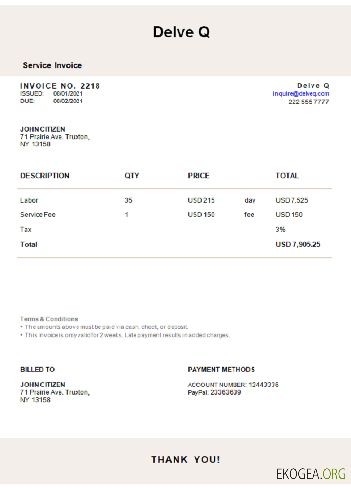 Facture Delve Q aux États , Unis